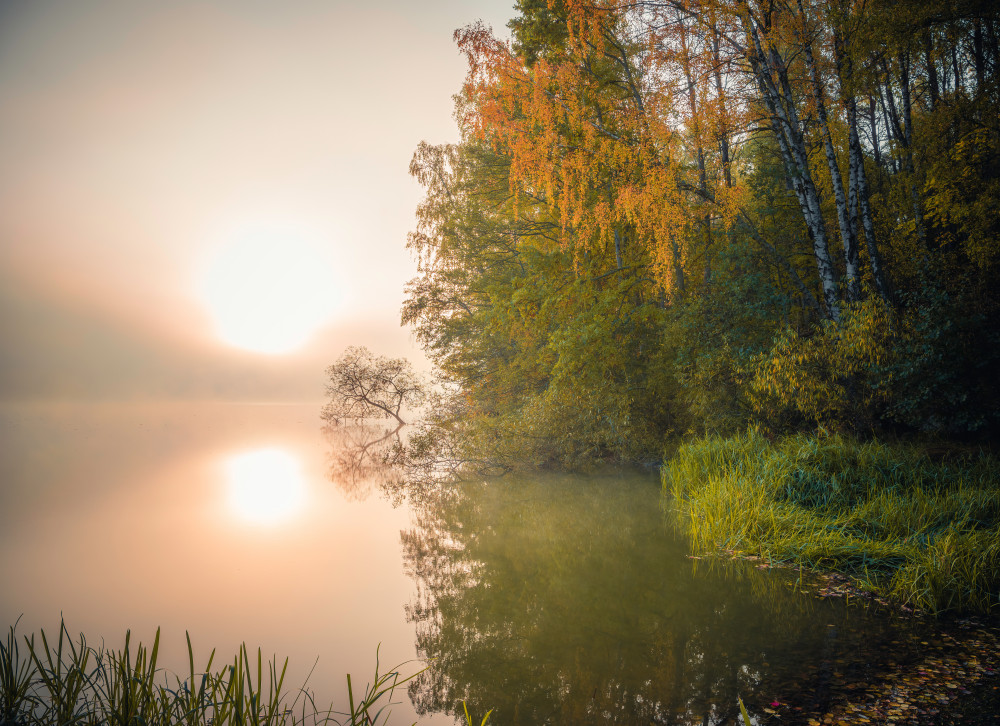 Swedish lake von Christian Lindsten
