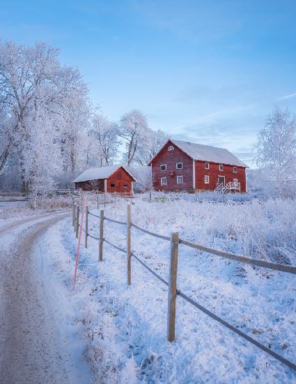 Scandinavian architecture