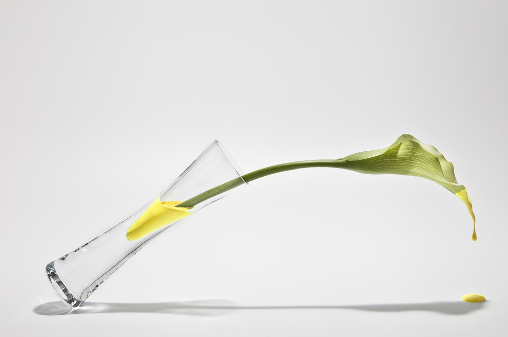 Calla von Christian Pabst