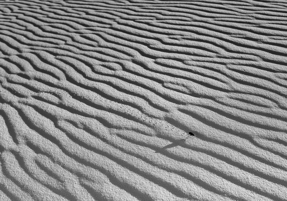 The Long Journey von Christian Skilbeck