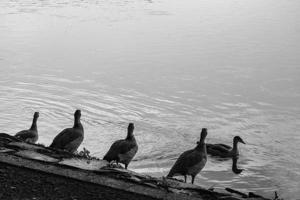 See von Christina Neuhaus-Petrosino