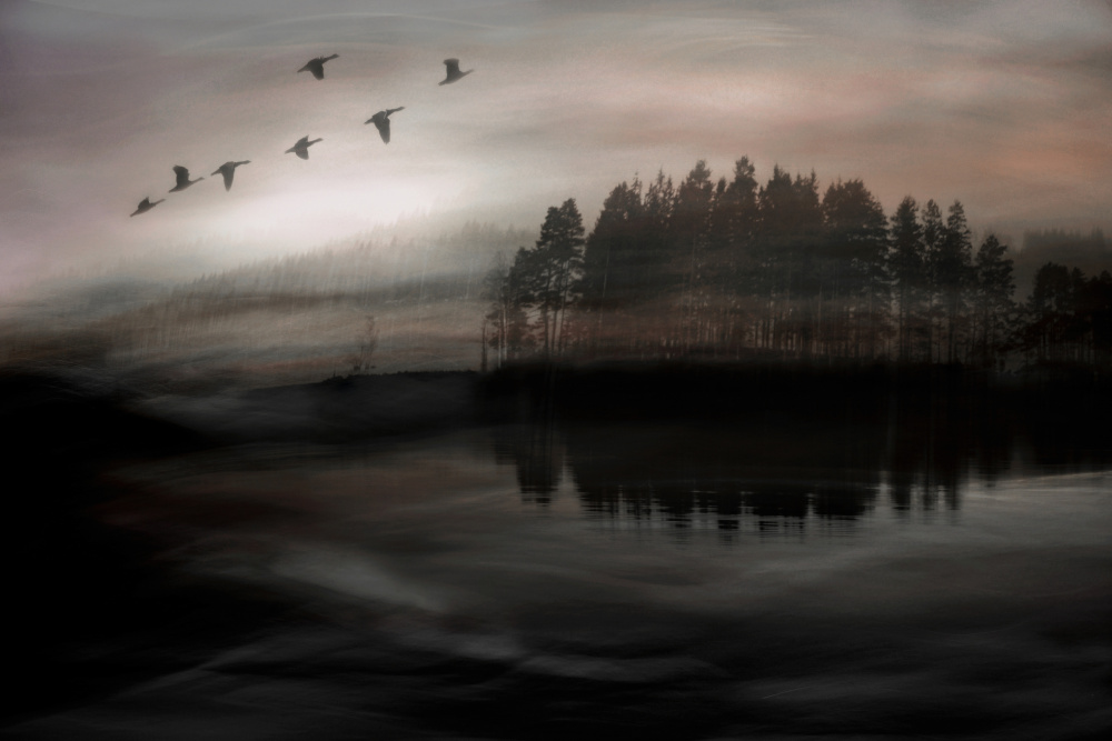 Morning blush von Christina Sillèn