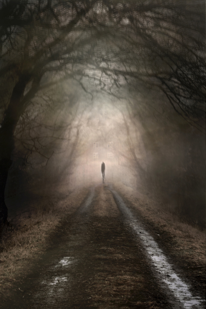 Going home von Christina Sillèn