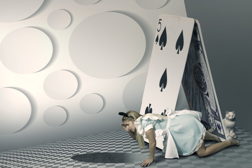 The rabbit hole von Christine Von Diepenbroek