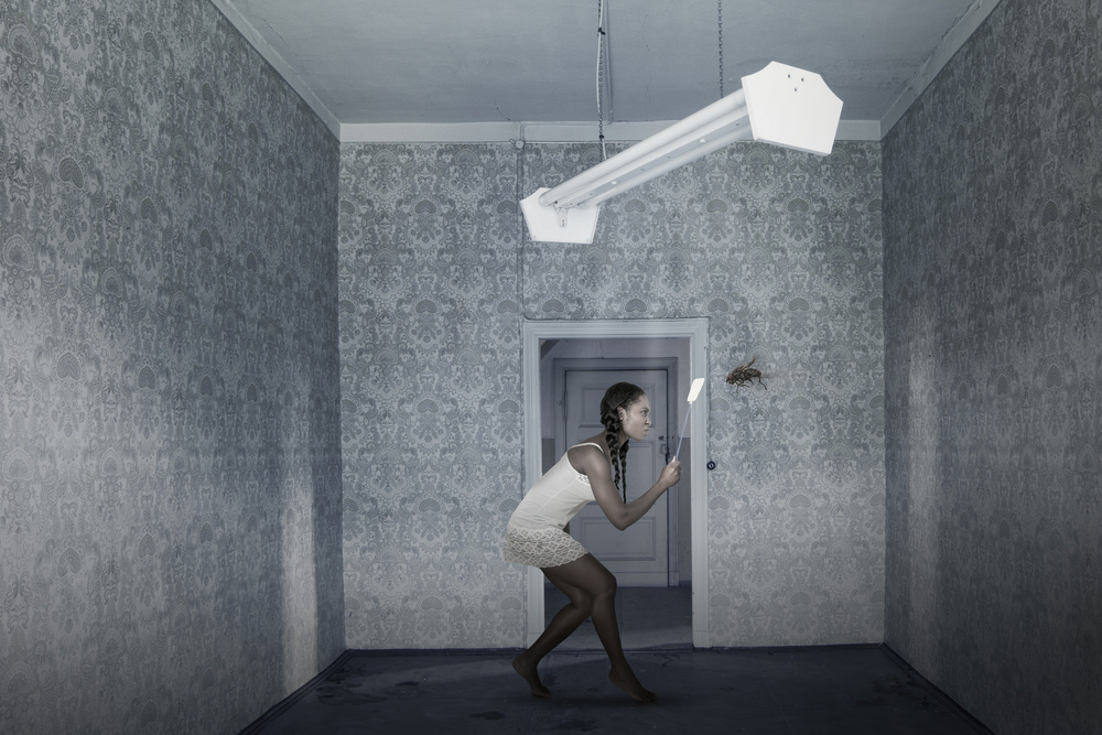 The fly von Christine Von Diepenbroek