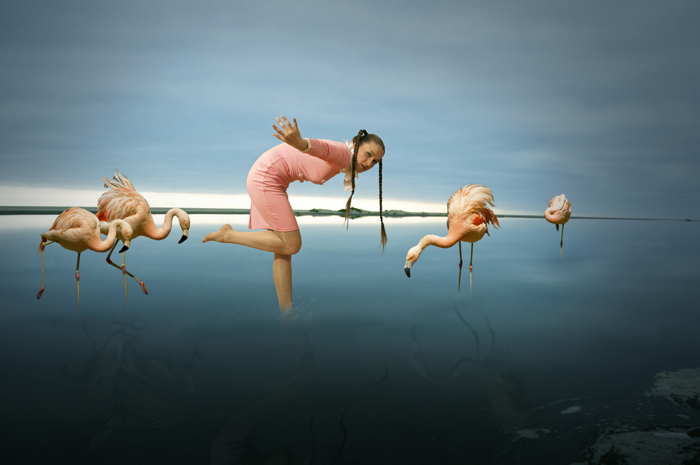 First lesson to be a flamingo von Christine Von Diepenbroek