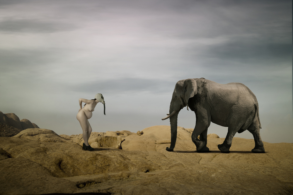 Friends?? von Christine Von Diepenbroek