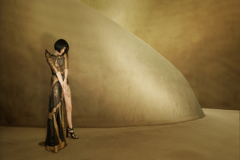 Golden eye von Christine Von Diepenbroek