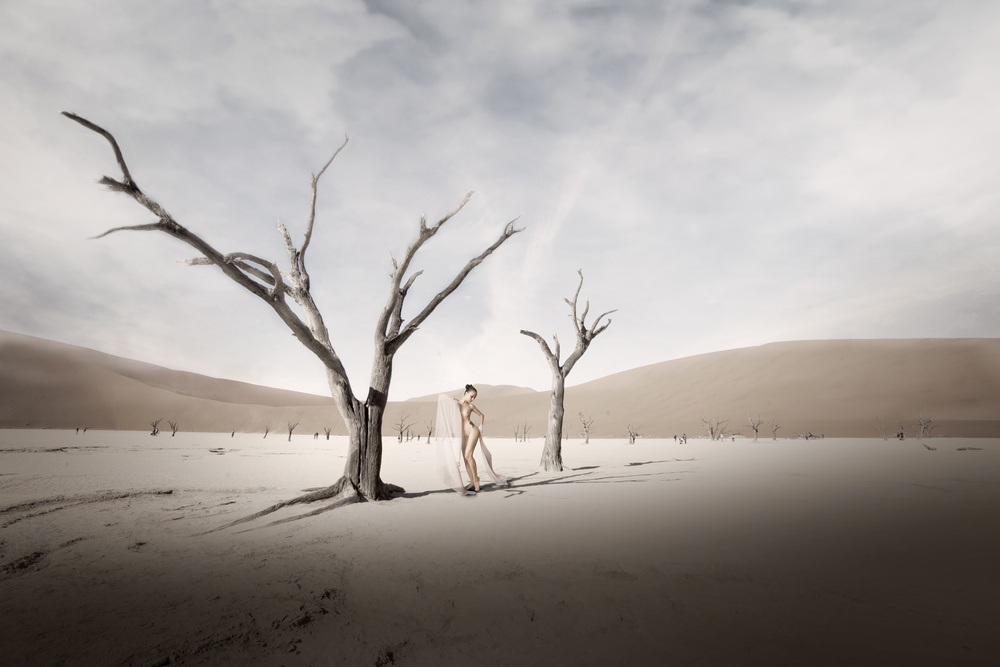 Sound of silence III von Christine Von Diepenbroek