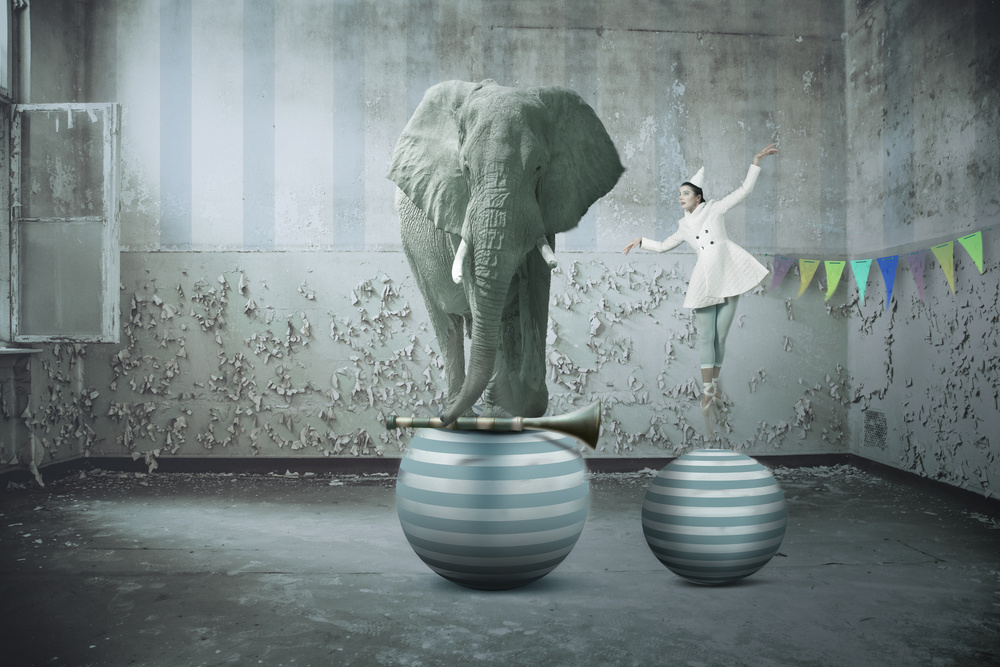 we can meet us  eye-to-eye von Christine Von Diepenbroek