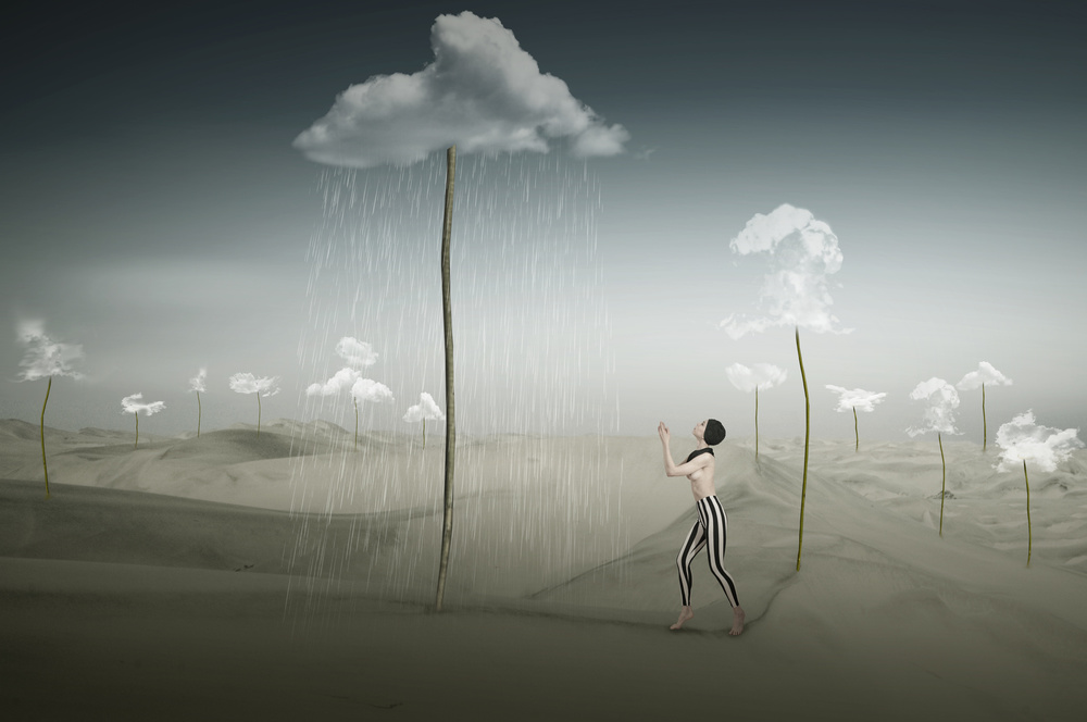 Cloud-Farm von Christine Von Diepenbroek