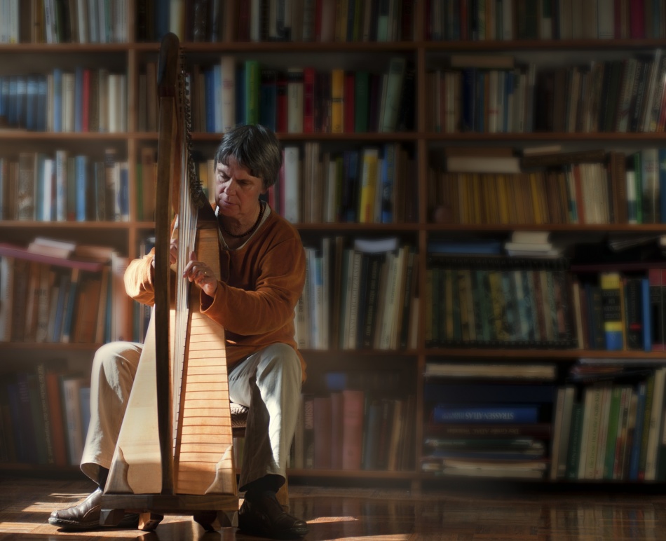 harpist von Christoph Hessel