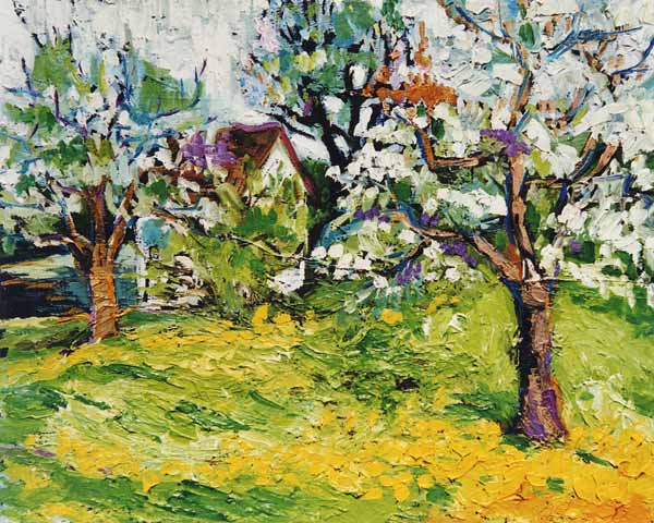 Apfelblüte bei Vogt I von Christoph Menschel