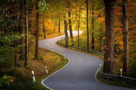 winding road
