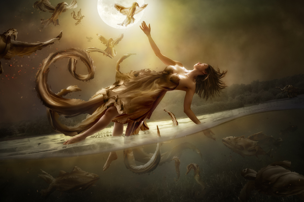 Diversity von Christophe Kiciak