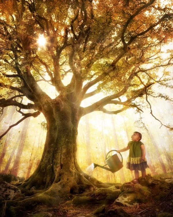 Growing up is made of small things von Christophe Kiciak