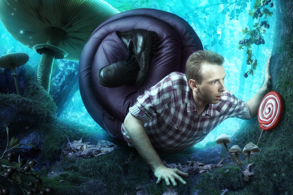 Alike von Christophe Kiciak