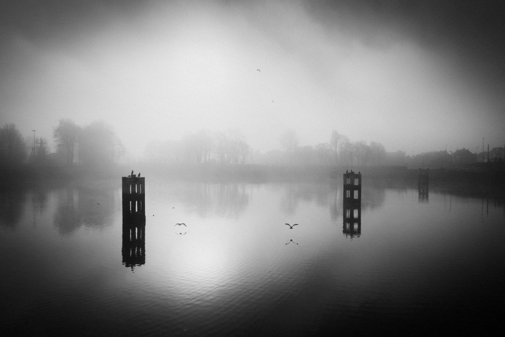 In the misty morning von Christophe Staelens