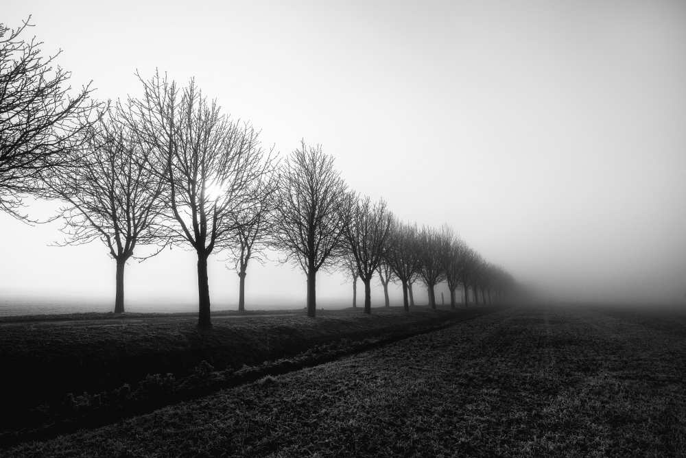 Losing sight von Christophe Staelens