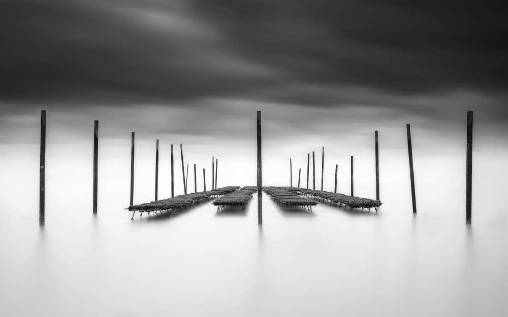 The Oyster Bar von Christophe Staelens