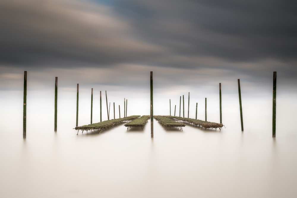 The Oyster Bar von Christophe Staelens