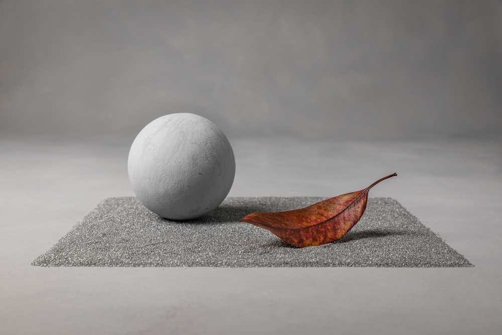 The leaf 2 von Christophe Verot