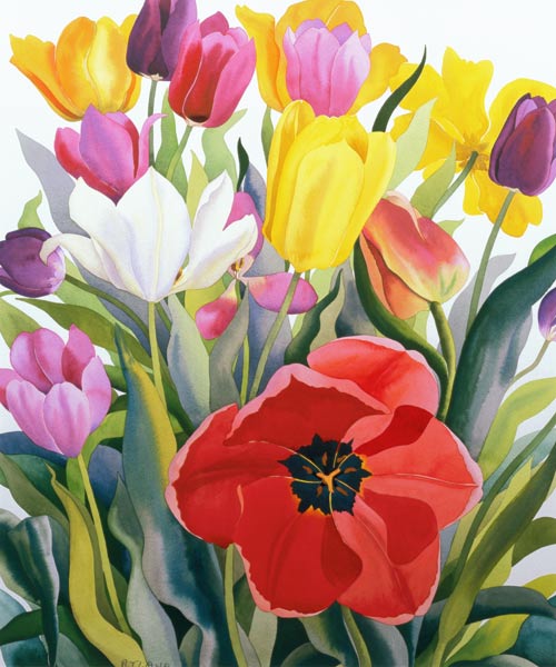 Tulips von Christopher  Ryland