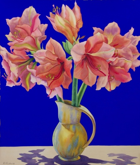 Amaryllis in a jug von Christopher  Ryland