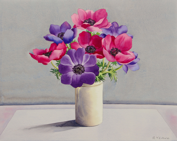 Anemones von Christopher  Ryland