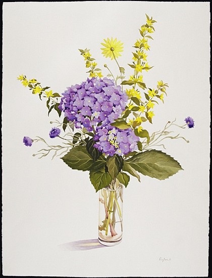 Blue Hydrangea with Yellow Loosestrife (w/c)  von Christopher  Ryland