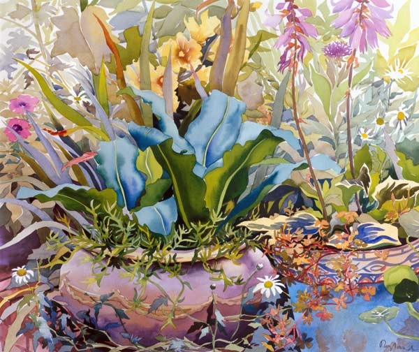 Garden with Plants von Christopher  Ryland