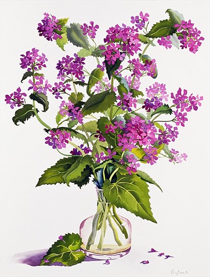 Honesty (w/c on paper)  von Christopher  Ryland