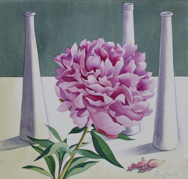 Paeony Still Life von Christopher  Ryland