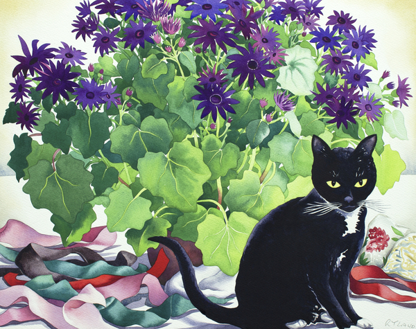 Senetti Plant and Cat von Christopher  Ryland