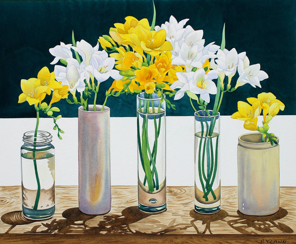 Still Life Freesias von Christopher  Ryland