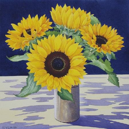 Sunflower Still Life