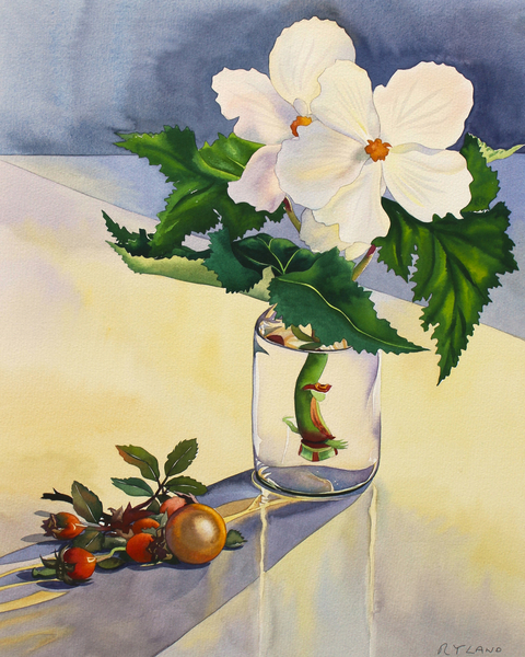 White Begonia and Rosehips von Christopher  Ryland