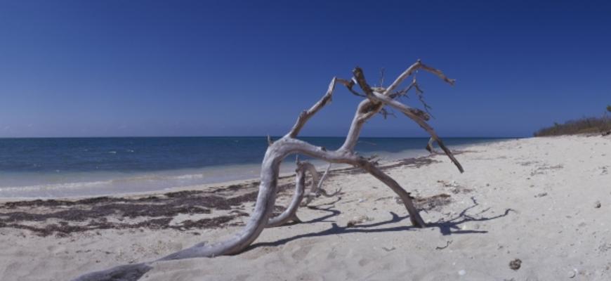 Karibik pur von Christopher Timmermann