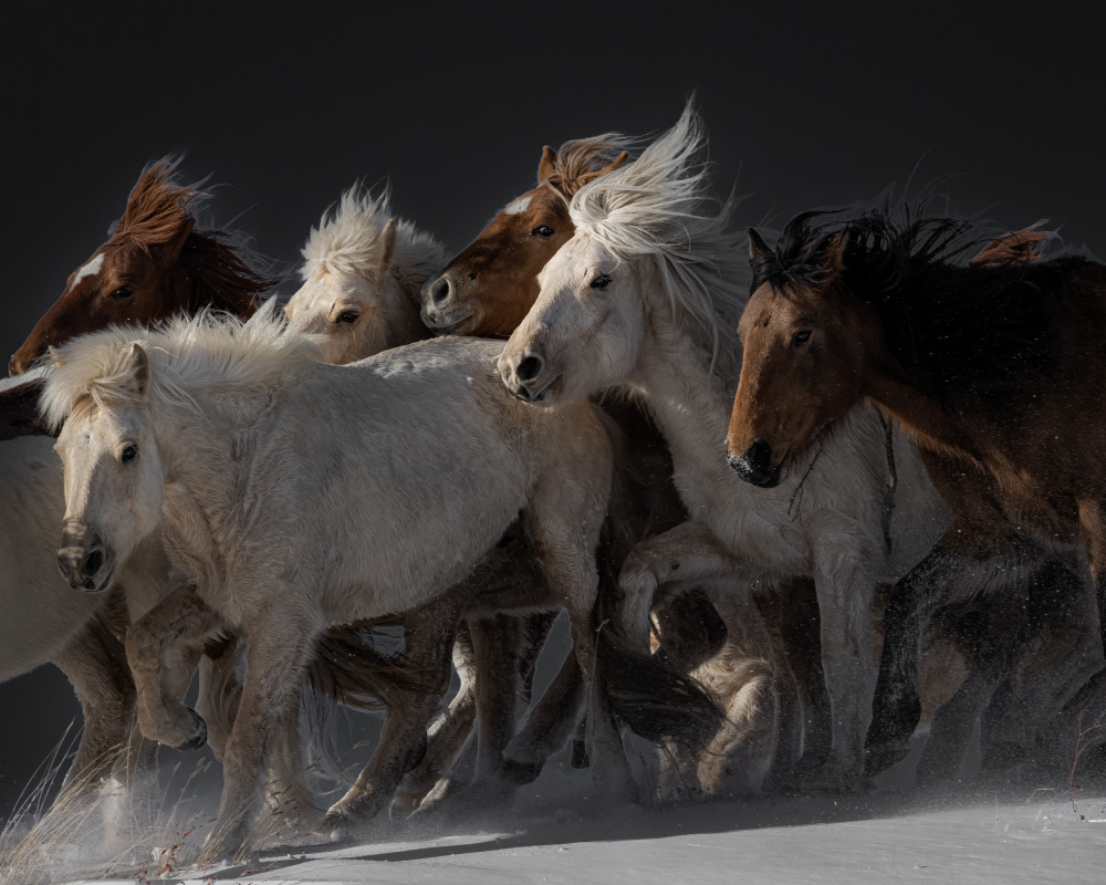 Eyes and Legs von Chuanxu Ren