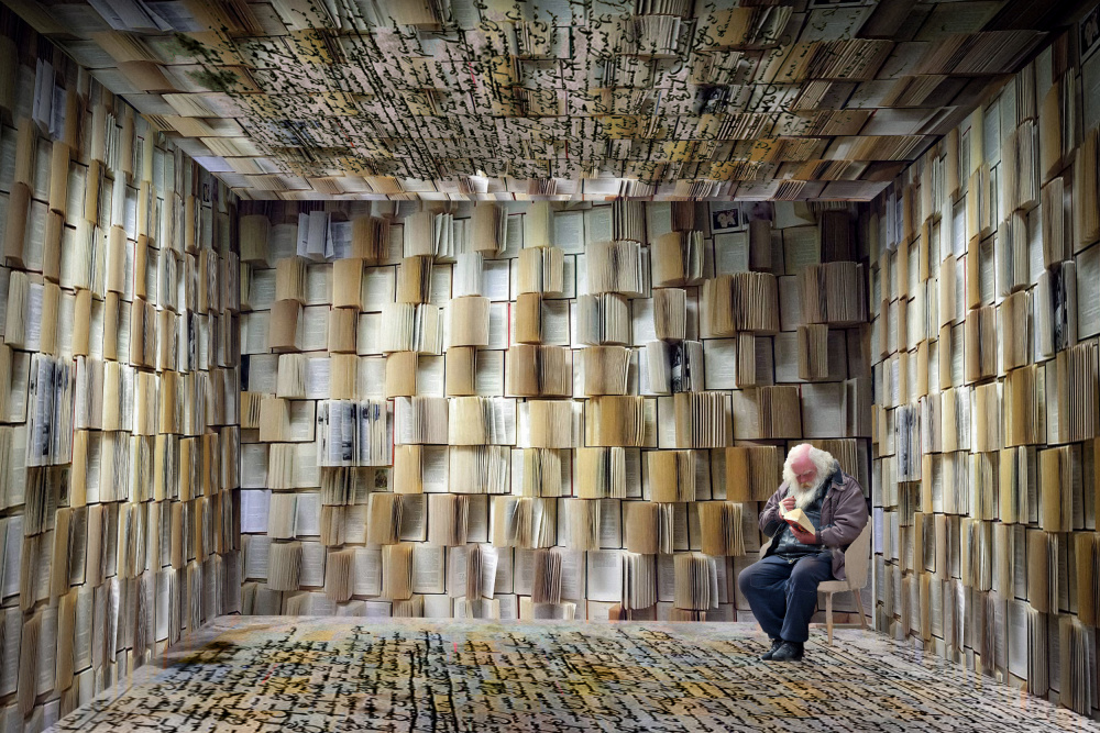 Books von Ciupureanu Dan