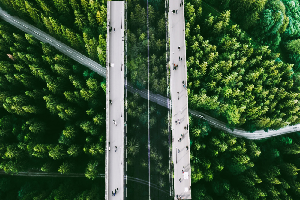 The bridge von Ciupureanu Dan