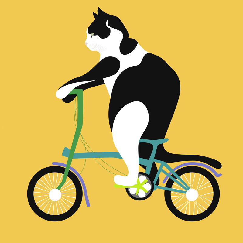 Cat on a Brompton Bike von Claire Huntley