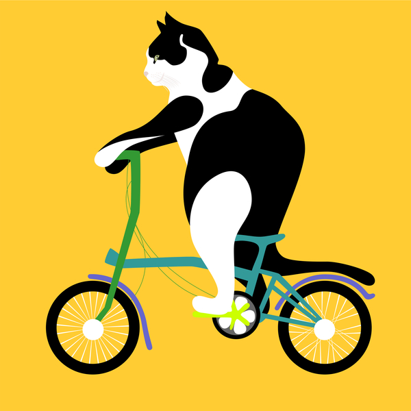 Cat on a Brompton Bike von Claire Huntley