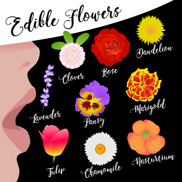 Edible Flowers von Claire Huntley