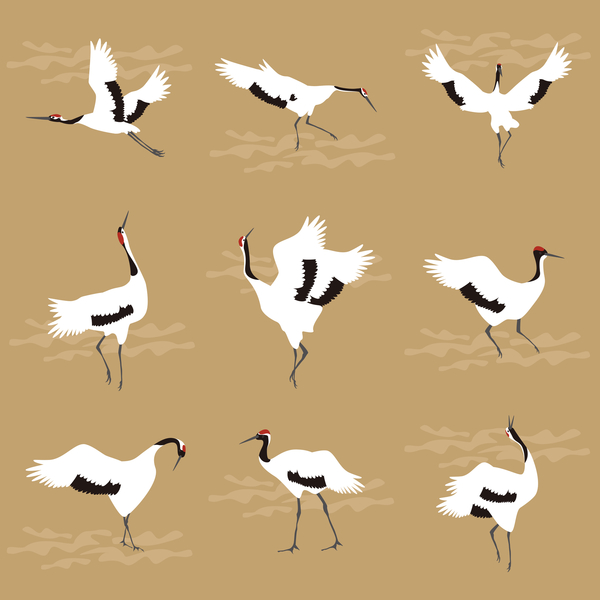 Oriental Cranes von Claire Huntley