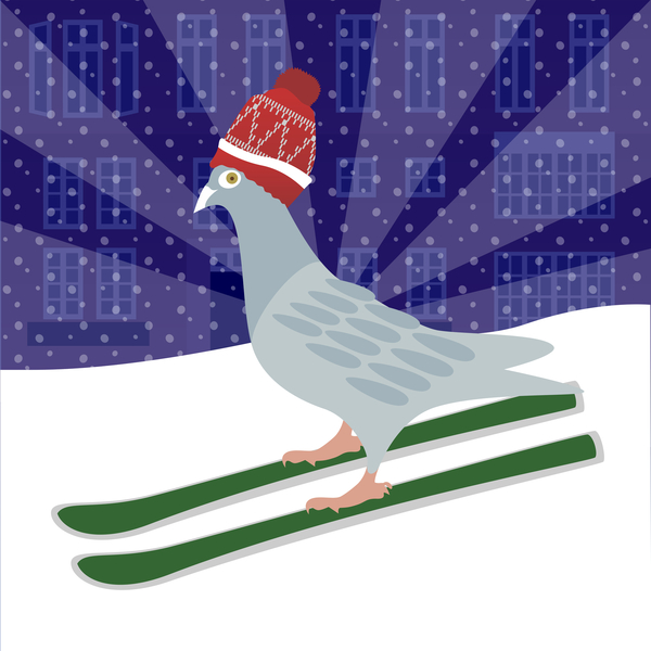 Skiing Pigeon von Claire Huntley