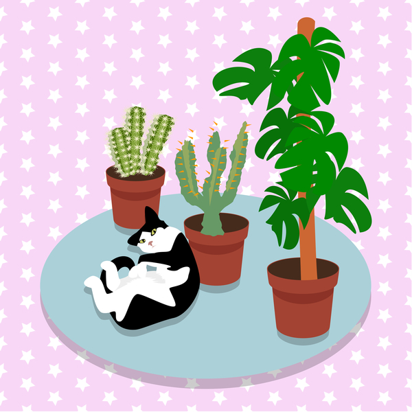 The Cat and the Cacti von Claire Huntley