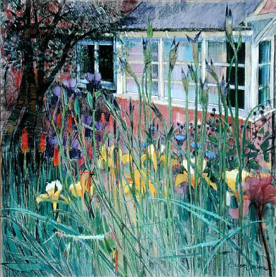 Iris Sibirica (pastel on paper)  von Claire  Spencer