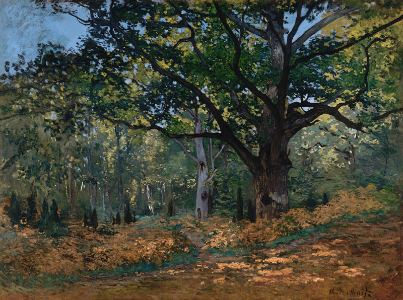 Bodmer Eiche im Wald von Fontainebleau von Claude Monet