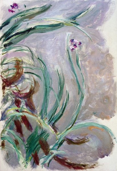 Iris von Claude Monet
